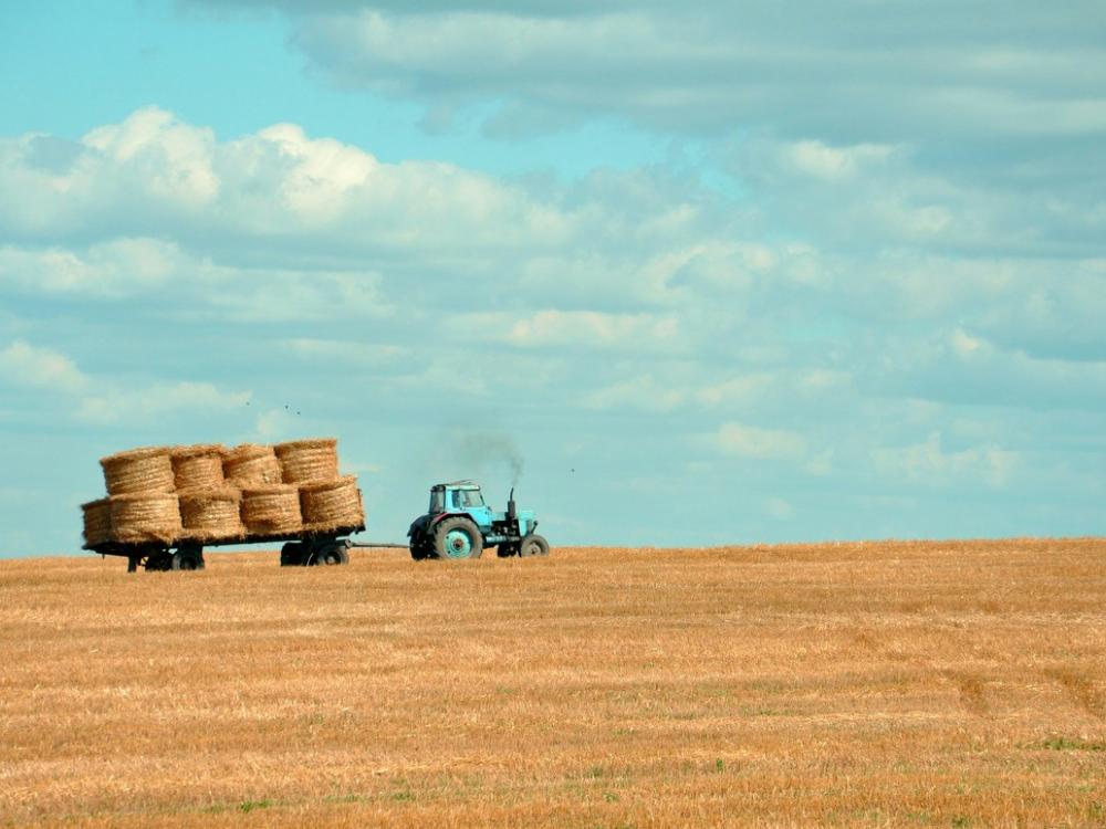 AI for Agriculture: Optimizing Crop Yields and Reducing Environmental Impact