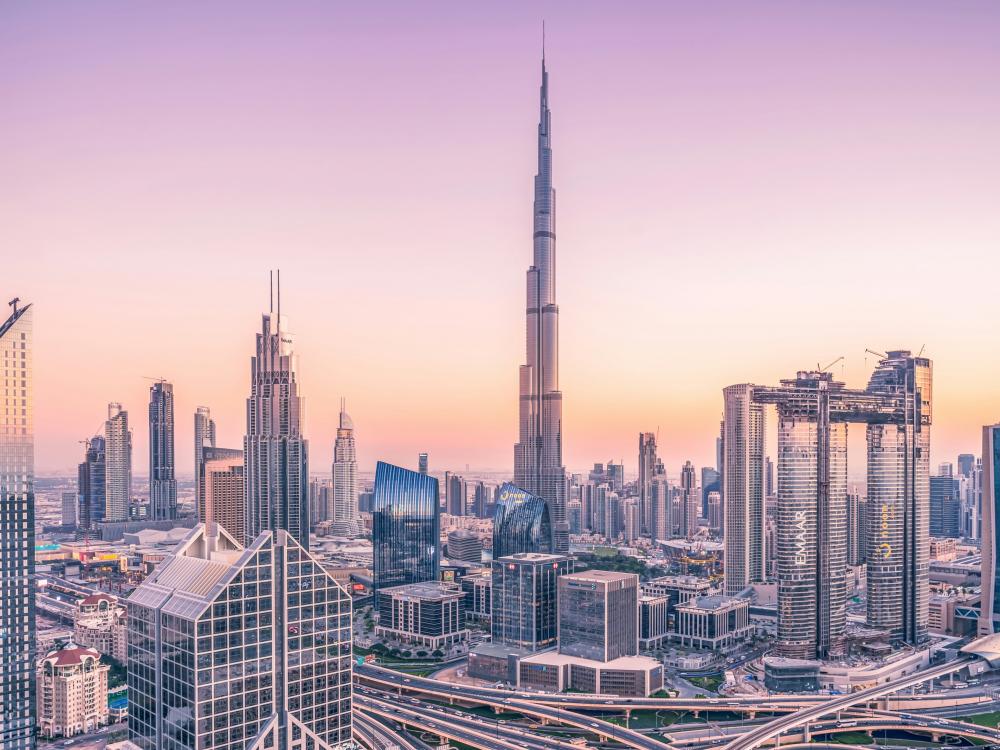 Leveraging AI to Streamline Government Operations in the UAE